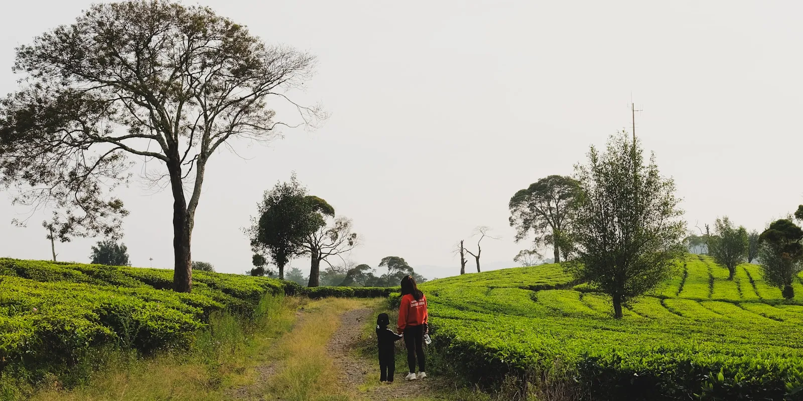 Family walking along a farm path