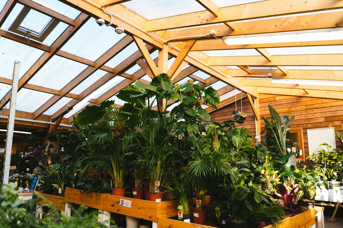 Plant Shops Ottawa: Best Nurseries and Houseplants