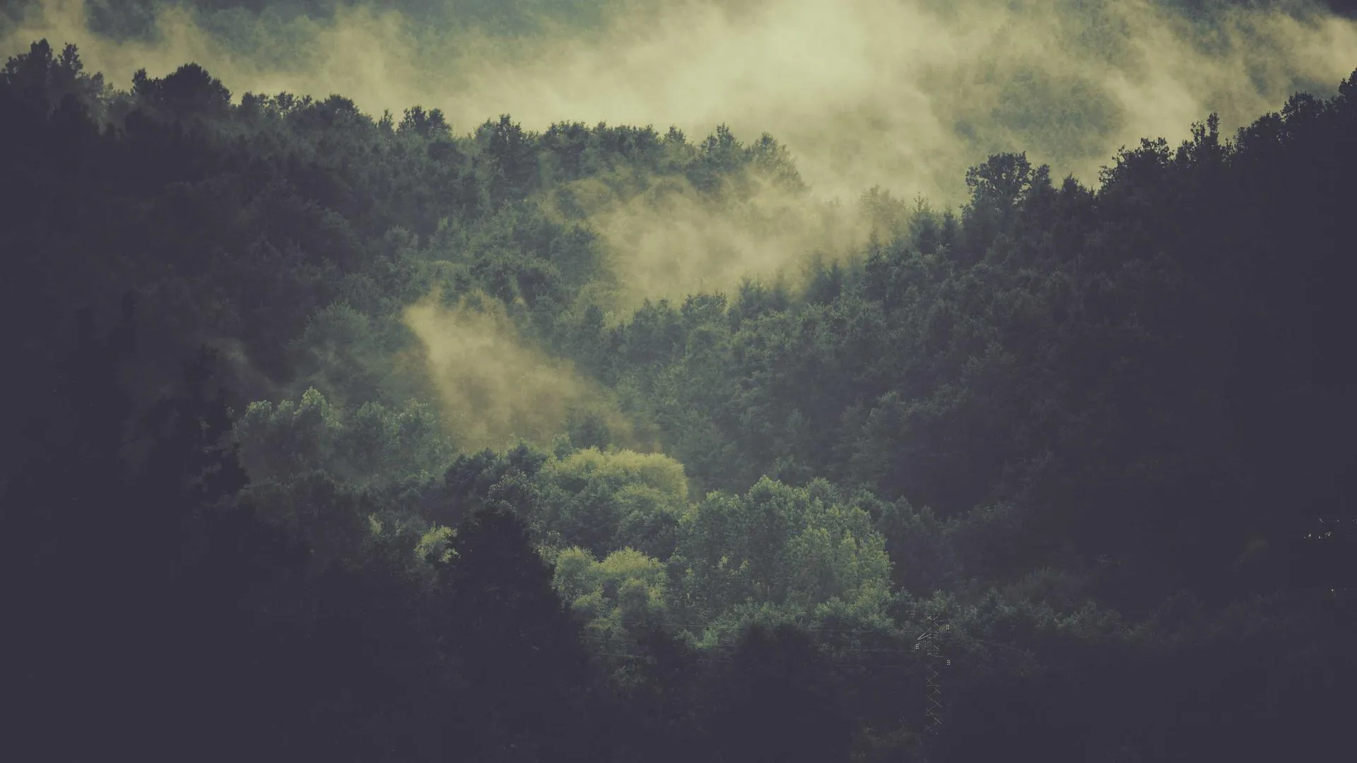 Night transit, parking map, and takeout planning scene in Ottawa