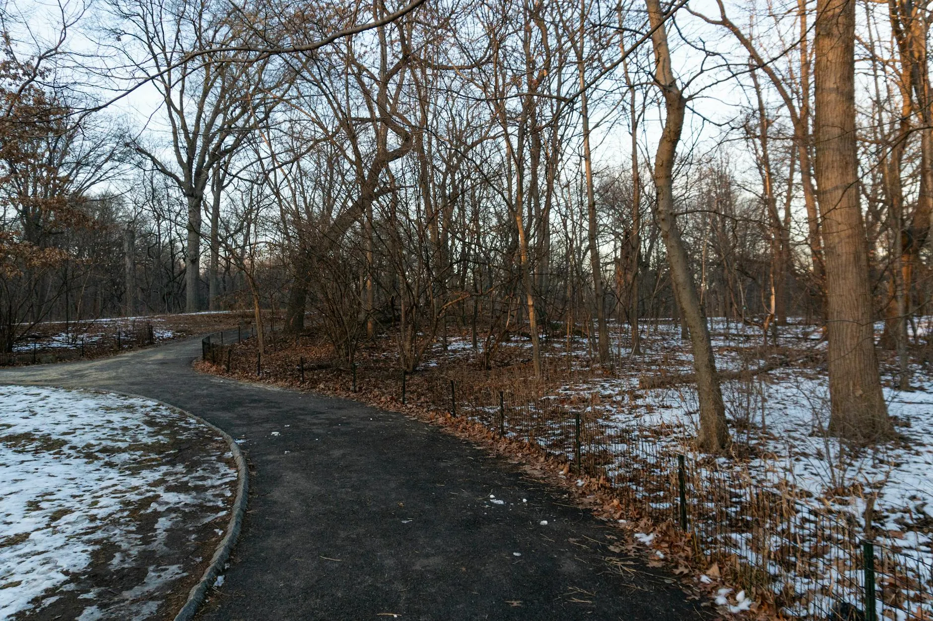 Rideau Canal path and late-winter trail conditions in March