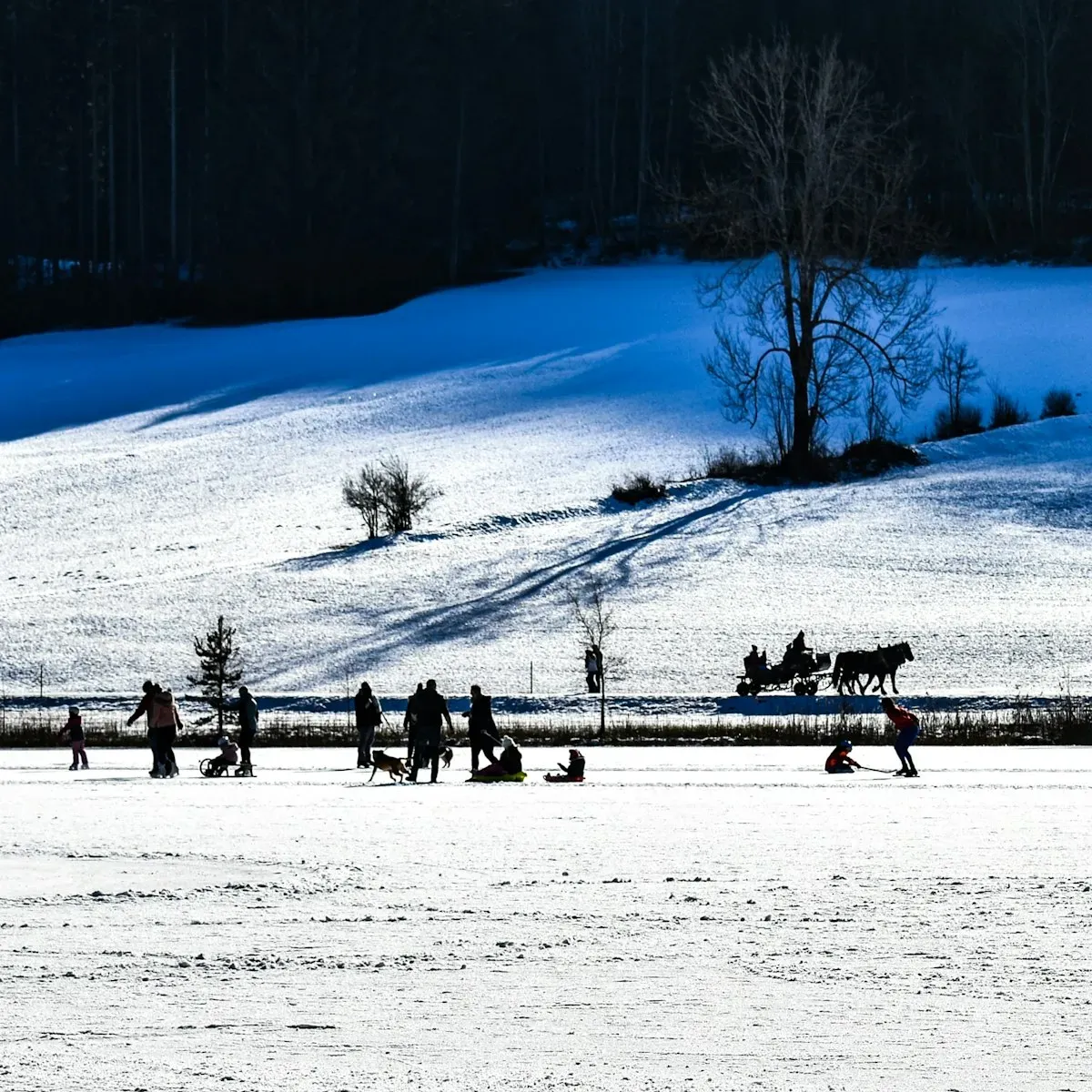 Skaters enjoying the Rink of Dreams at Ottawa City Hall