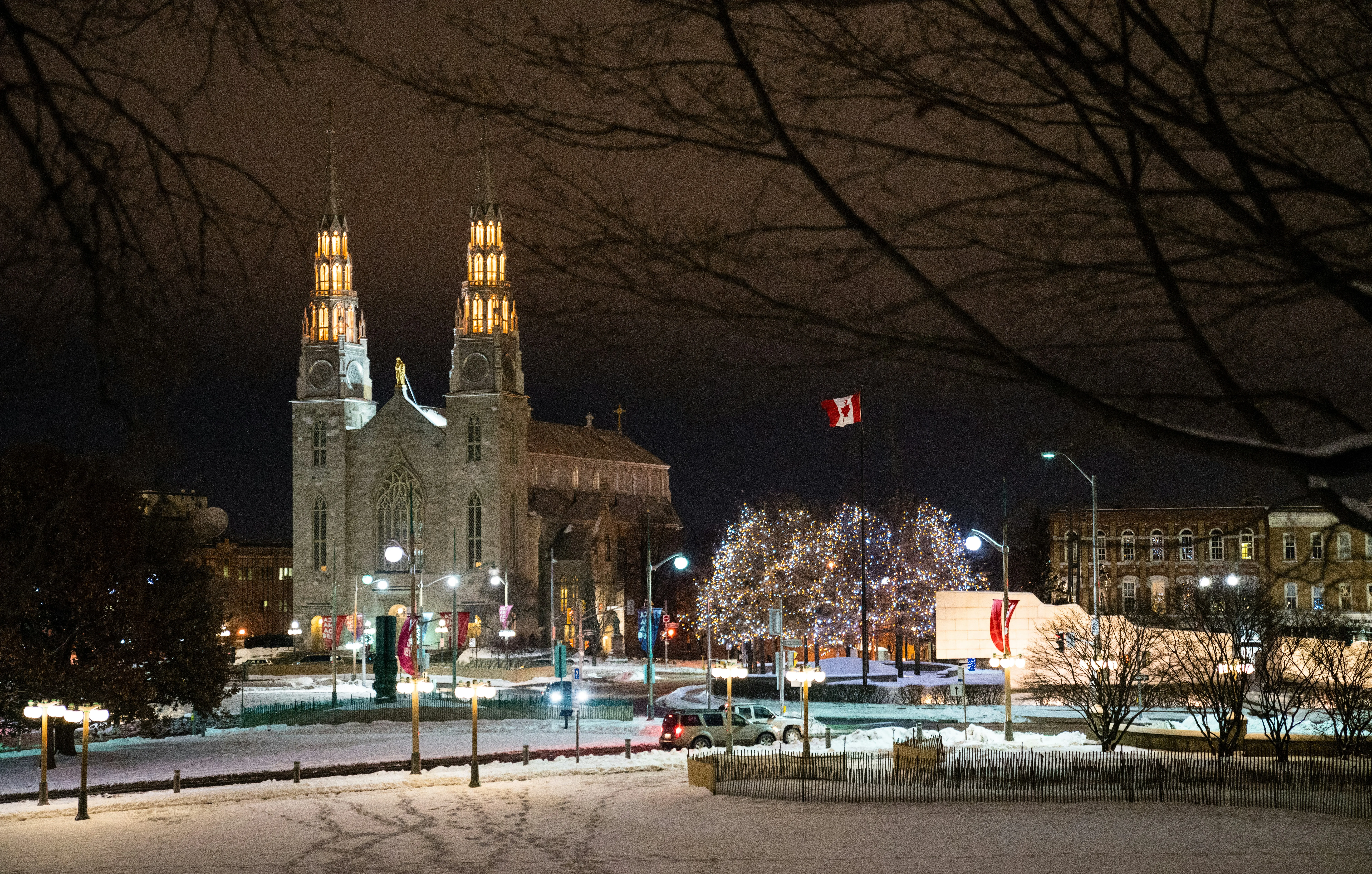 Rink of Dreams Ottawa at night