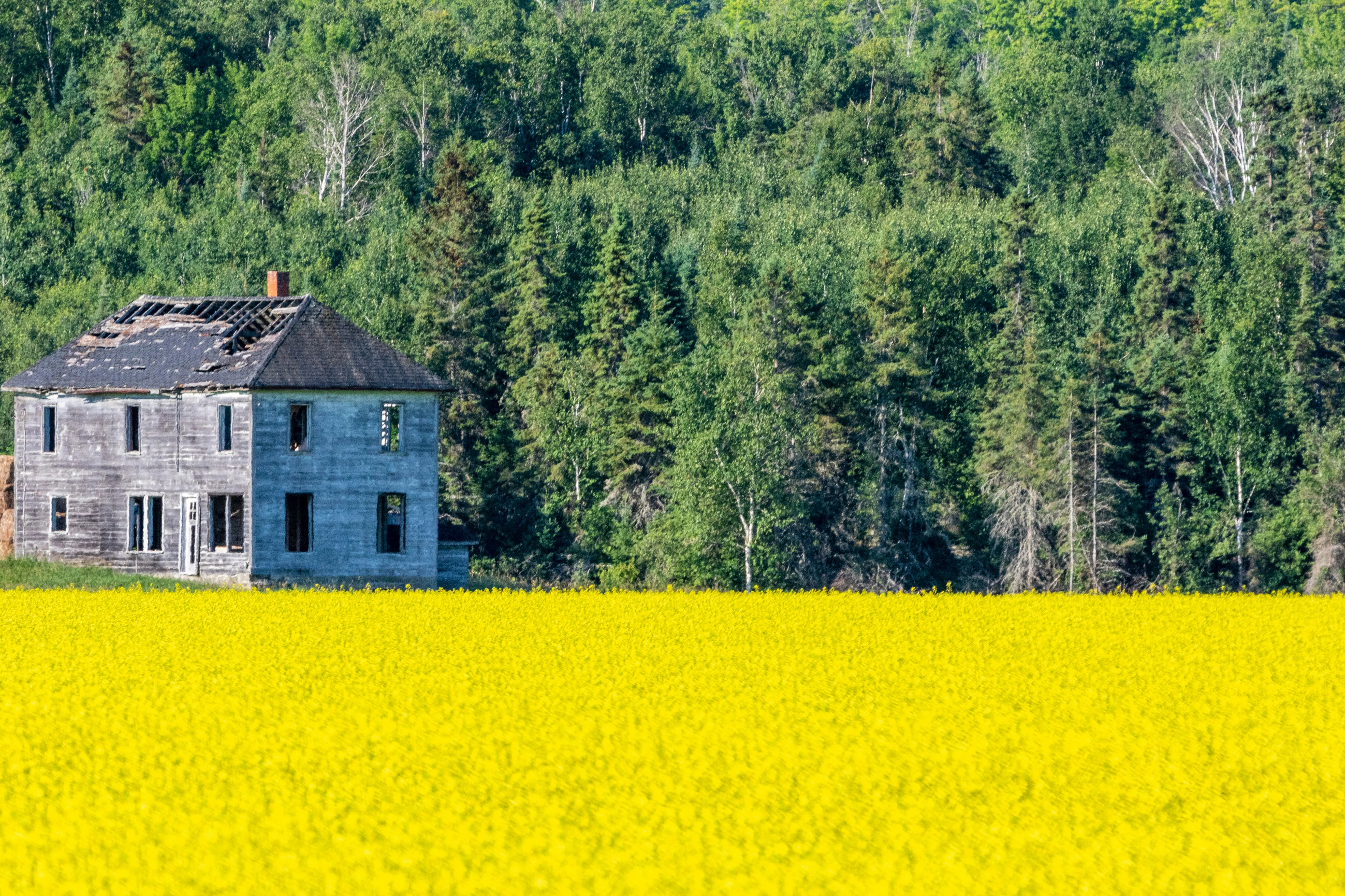 Rural East Ontario fields