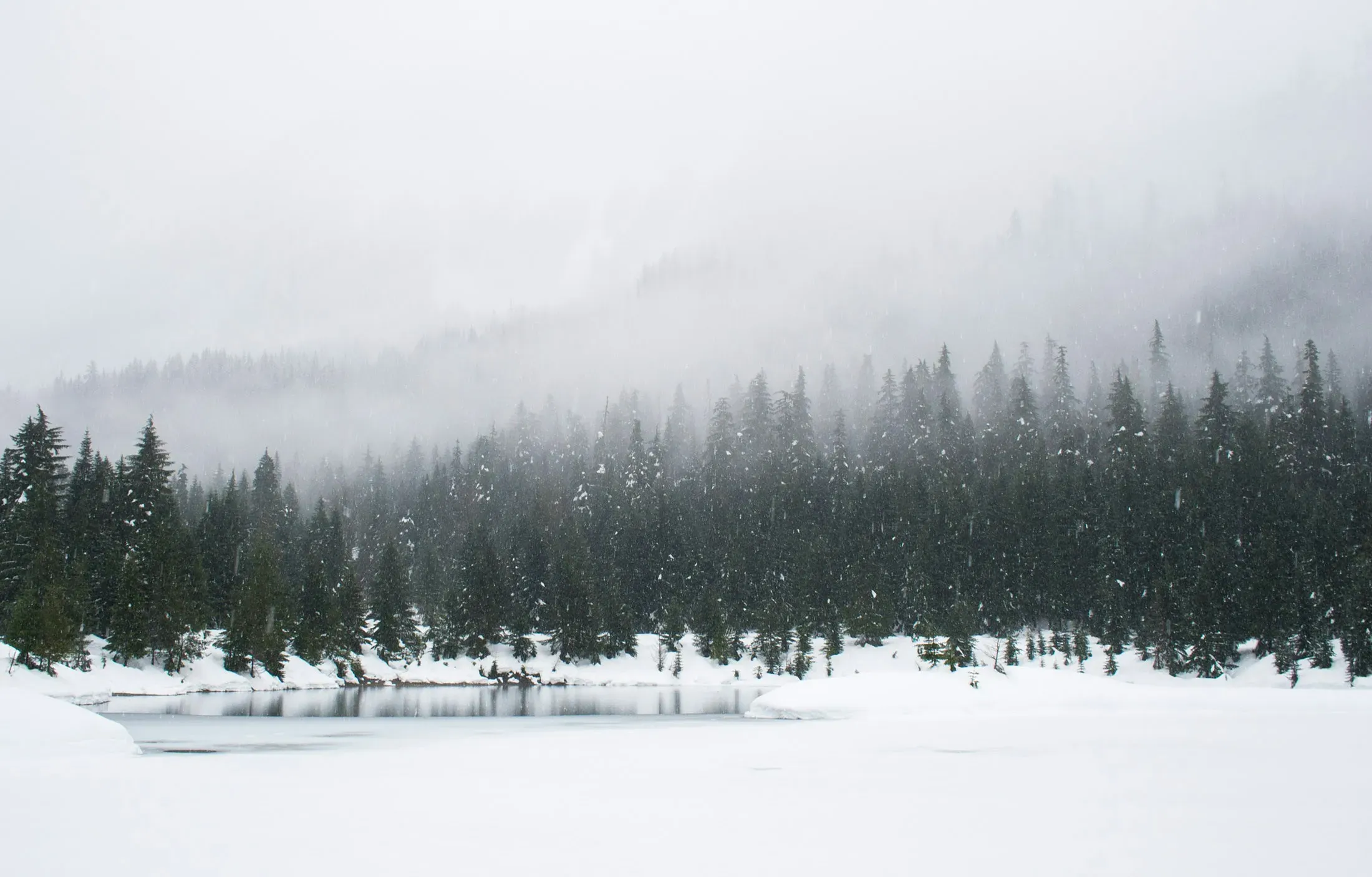 Heavy snow covering Ottawa streets and cars.