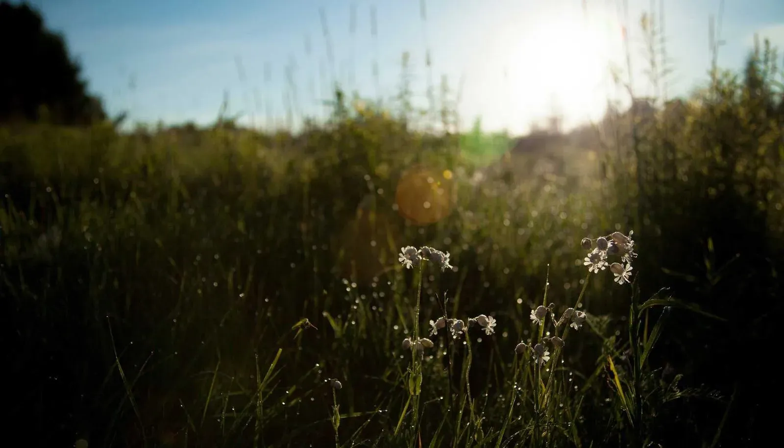 Traditional drumming circle at the festival.