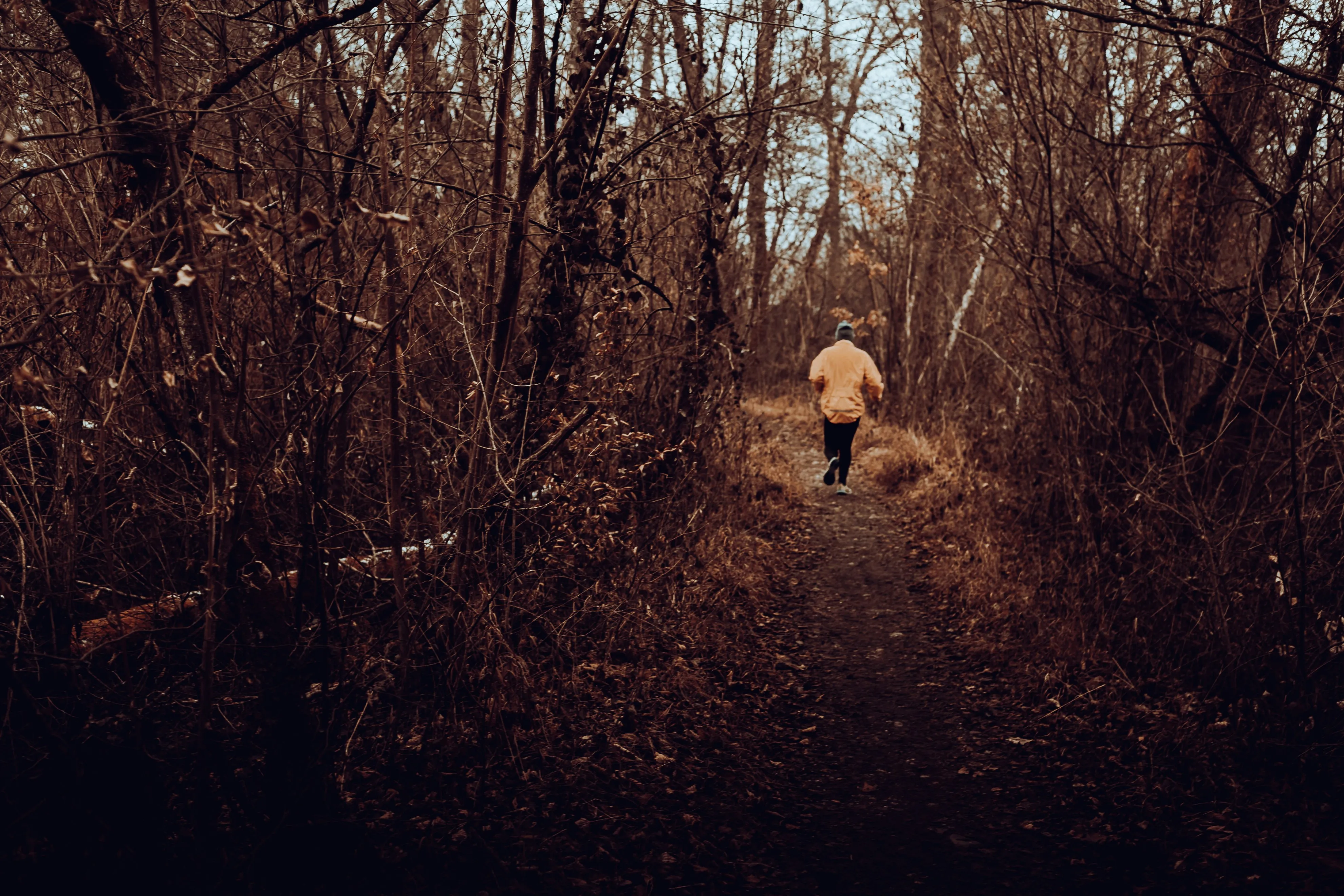 Trail runner on a path through a dark forest with dappled light