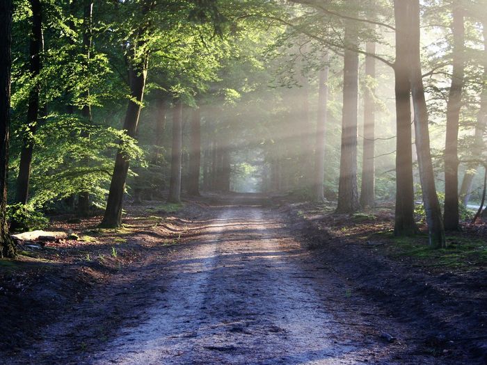 Best Trail Running Routes in Ottawa Complete Guide