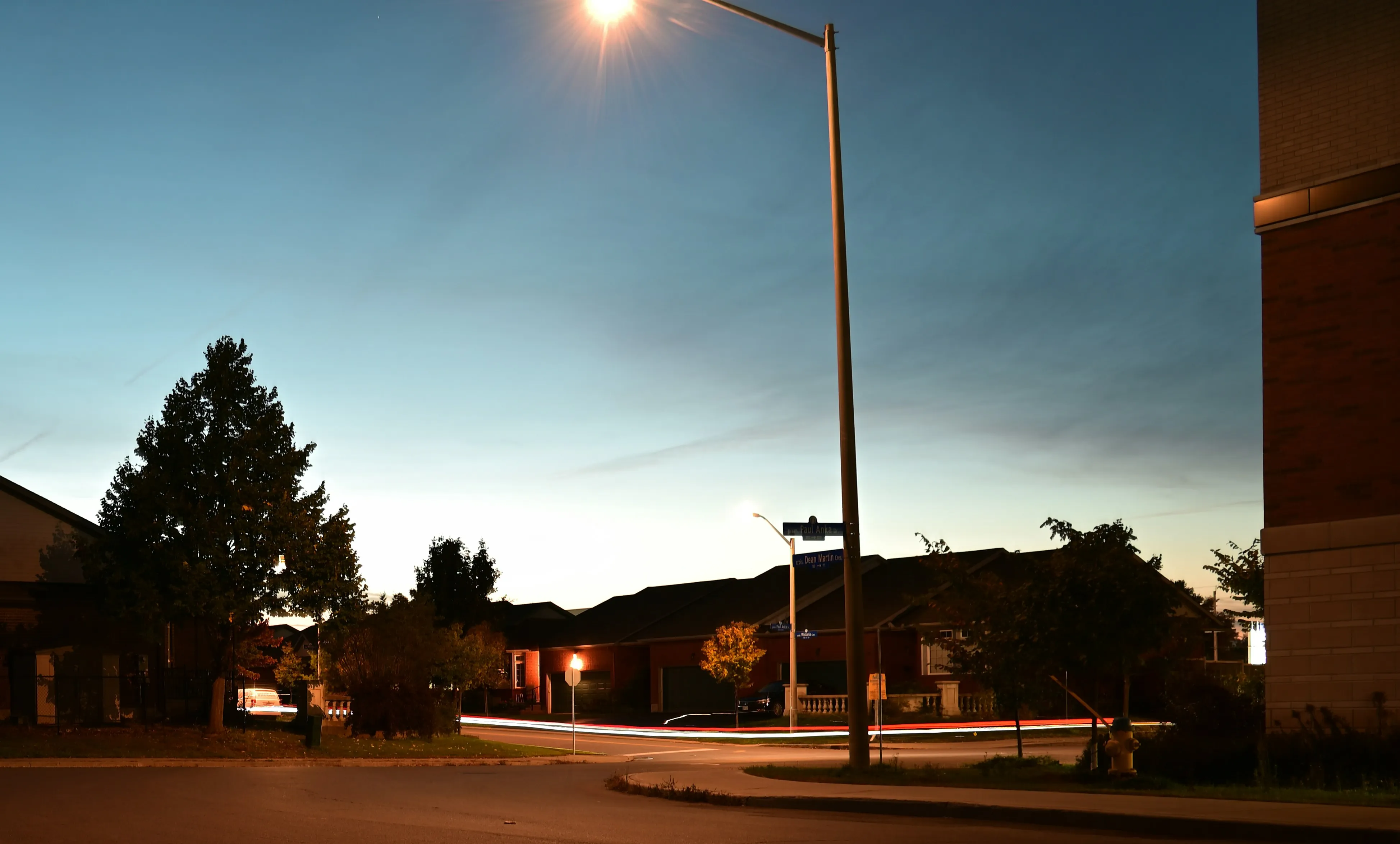 Ethiopian vegan platter and injera