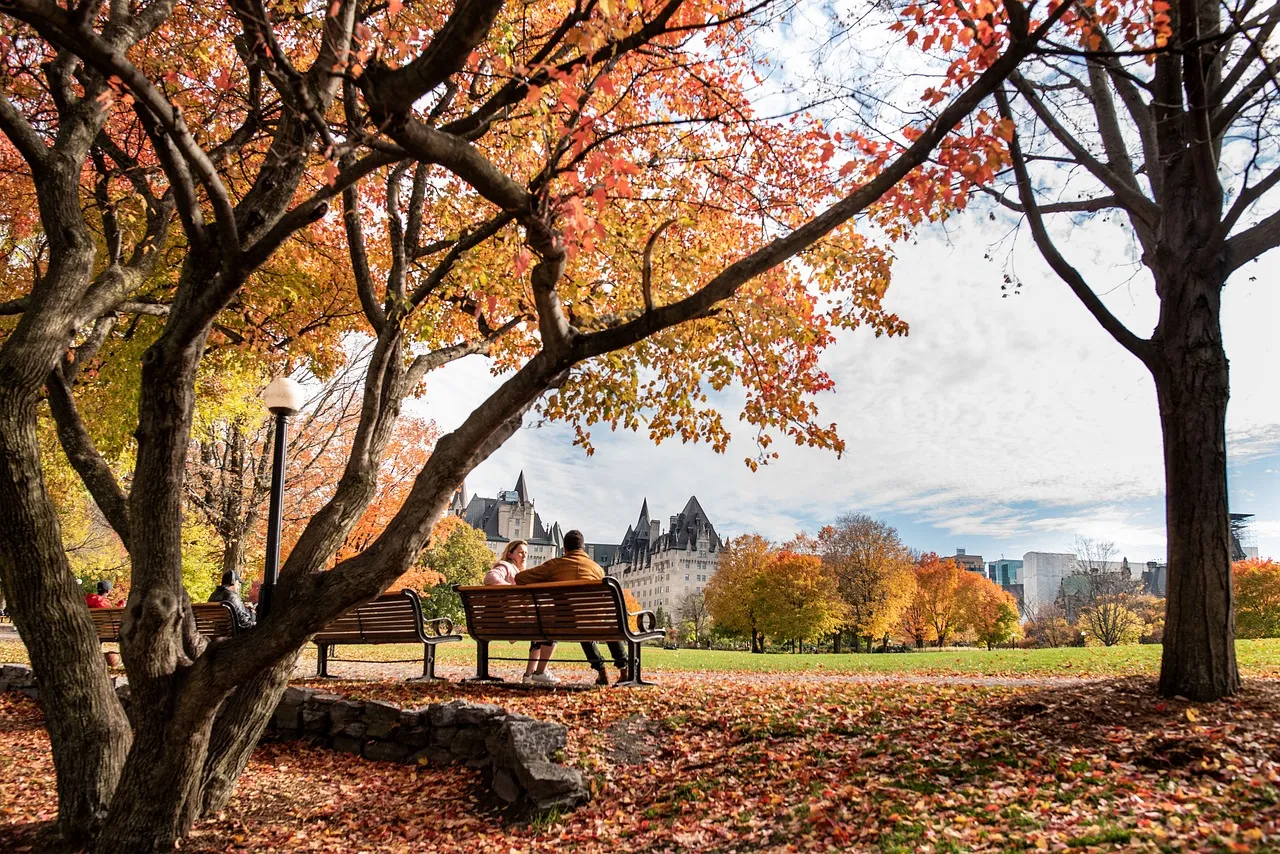 Vincent Massey Park picnic tables