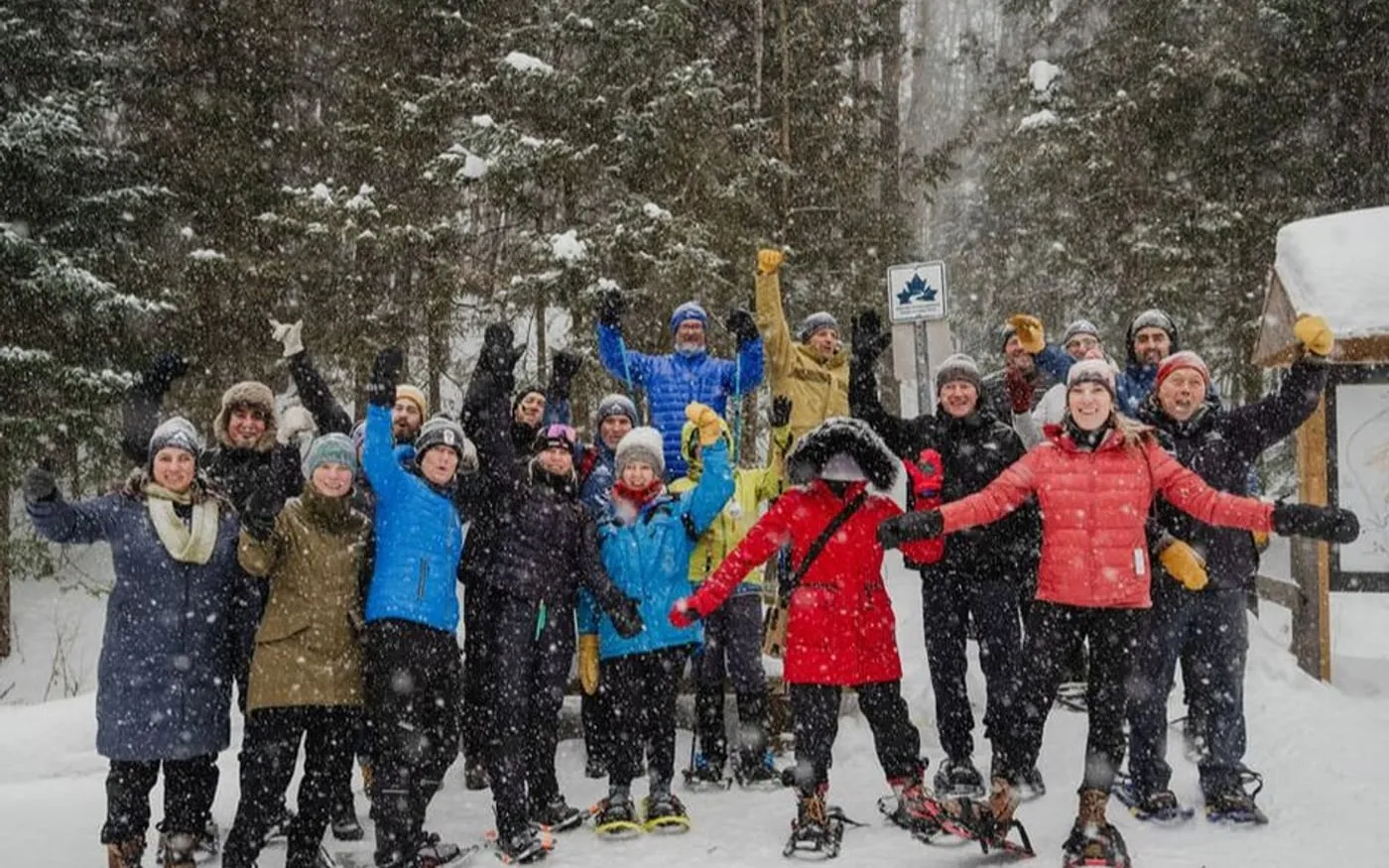Sentiers Wakefield Trails group walk in a wooded Wakefield setting