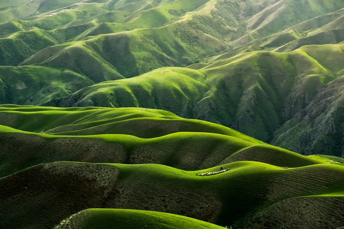 Spring scenery along the Rideau Canal pathways