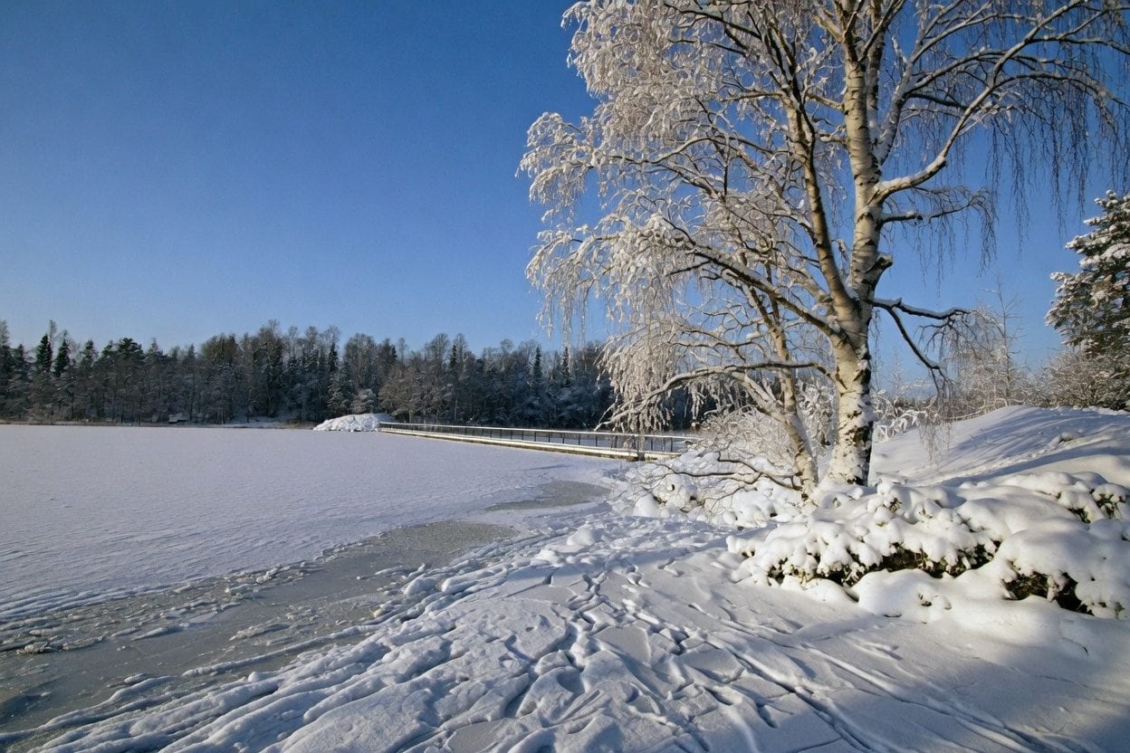Winter weather conditions in Ottawa with snow-covered landscape