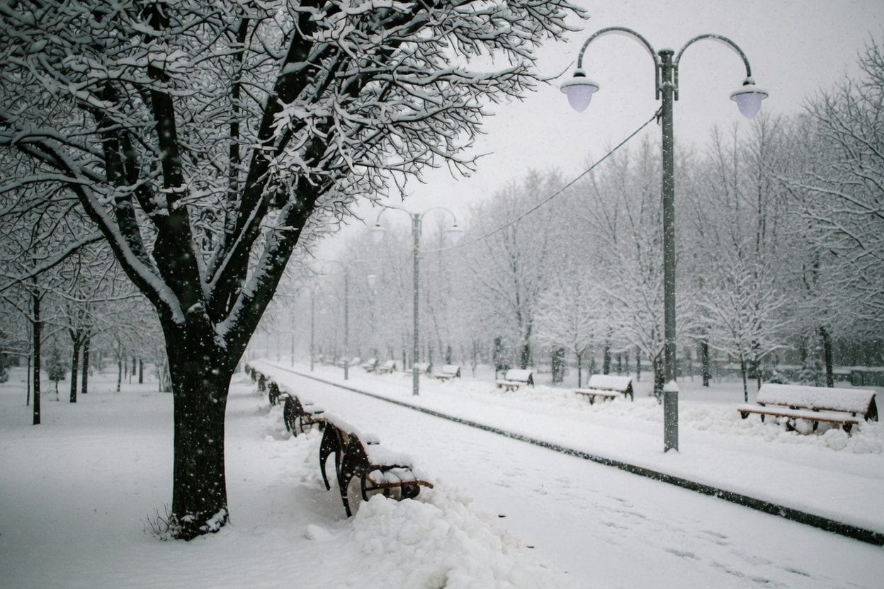 Winter storm snow Ottawa