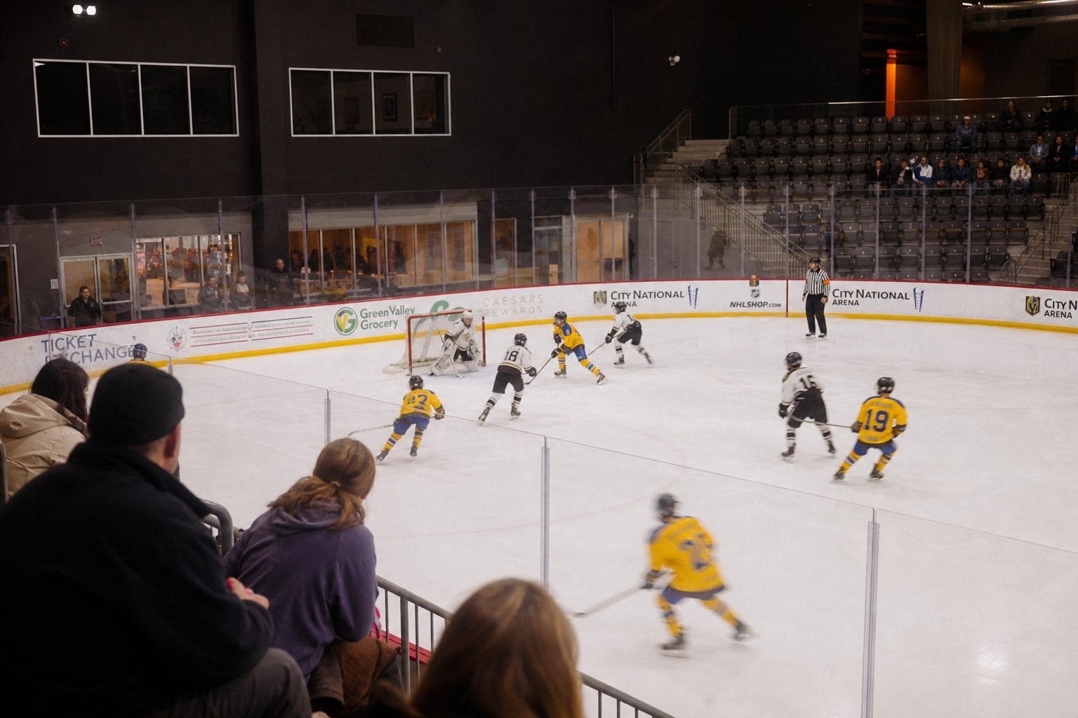 Junior hockey OHL game