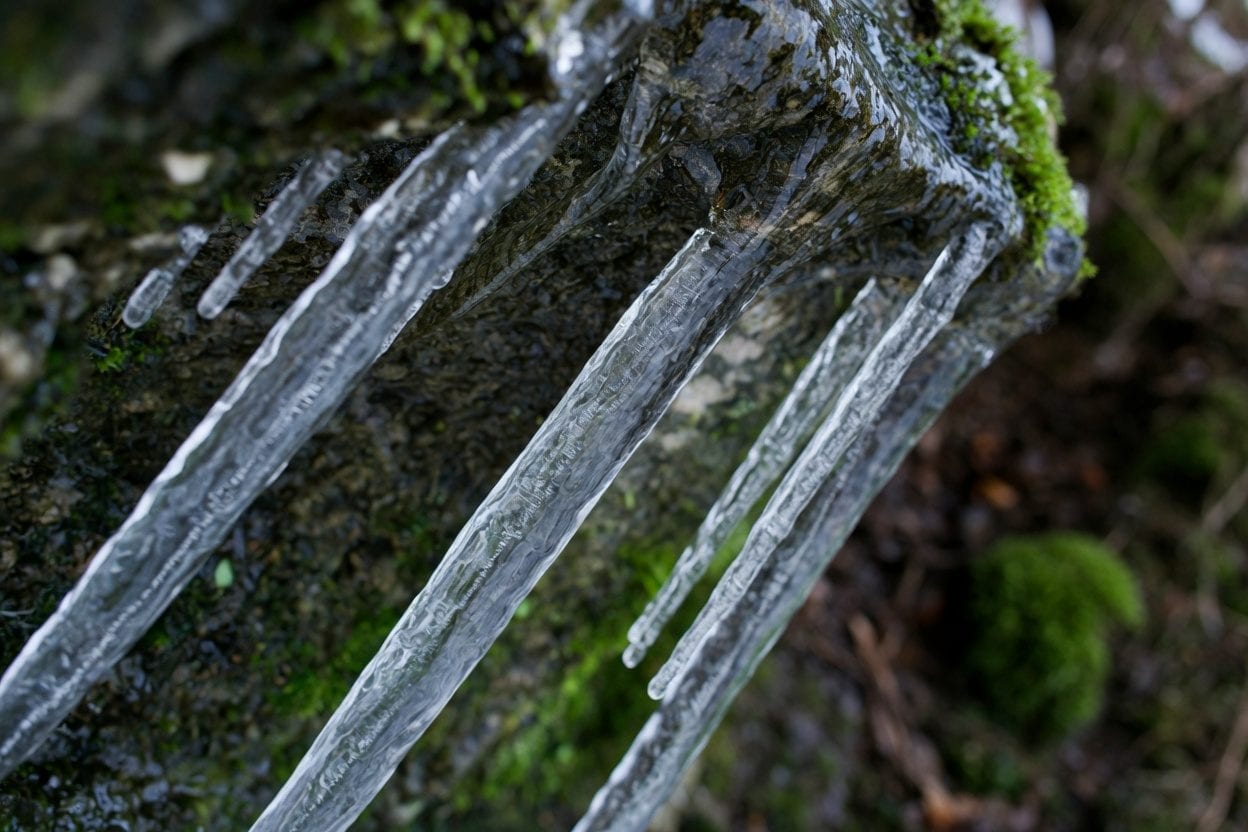 Freezing rain coating trees and power lines in Ottawa