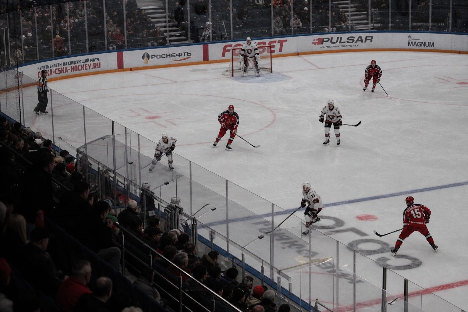 Ottawa Senators hockey sports