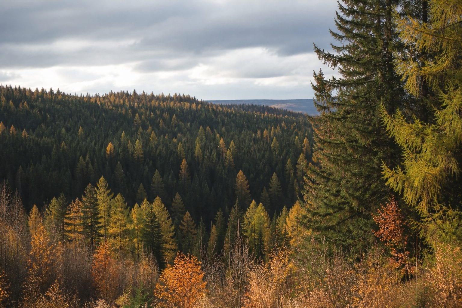Fall activities at Proulx Farm