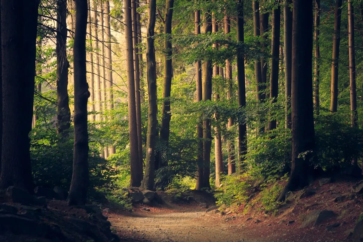 Spring hiking trails in Ottawa area