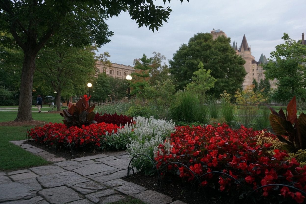 Colourful tulip beds at Commissioners Park along the Rideau River during the Canadian Tulip Festival
