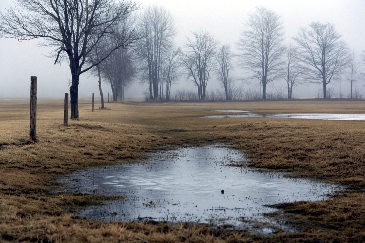 Almonte rural Lanark birding