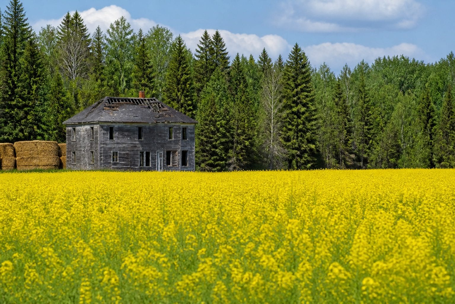 Rural East Ontario fields