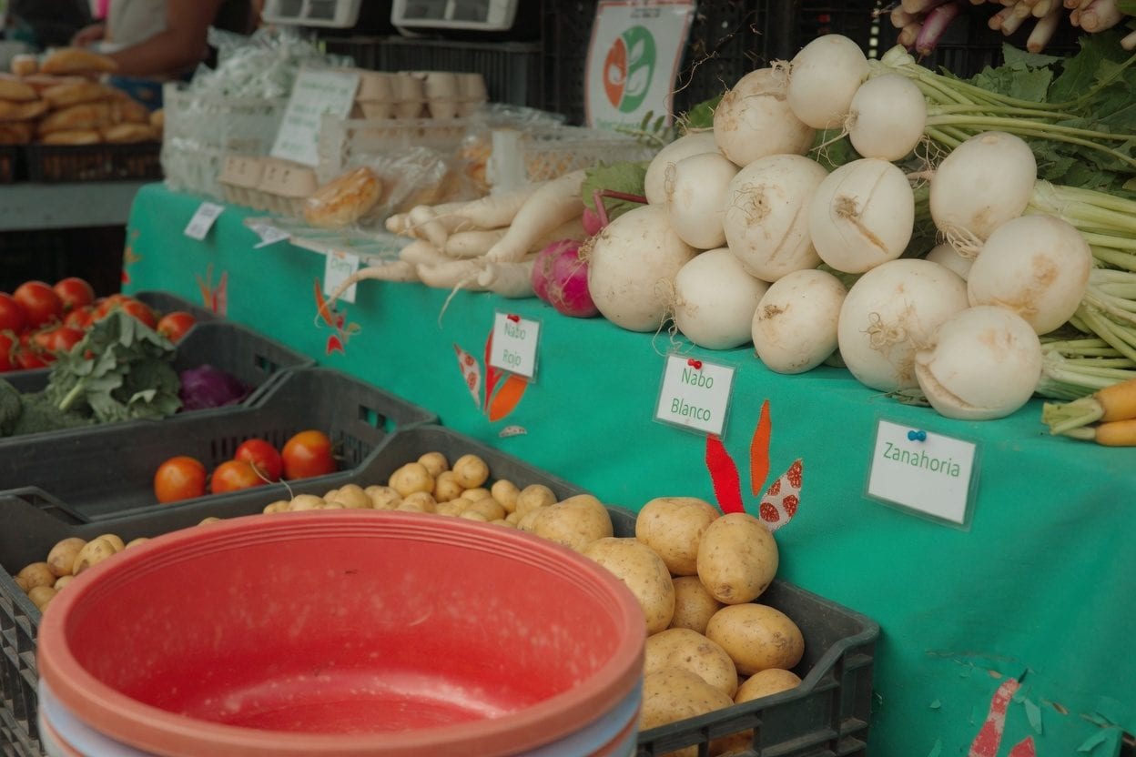 Fresh produce at ByWard farmers market