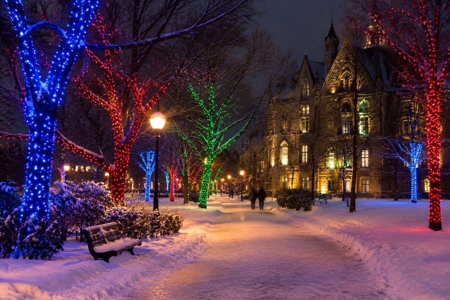Trees and a heritage stone building lit with coloured holiday lights along a snowy downtown park path at night