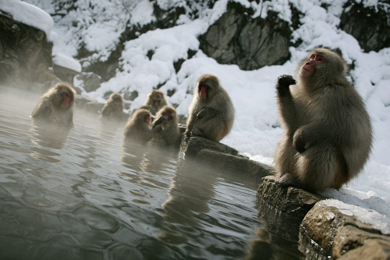 Nordik Spa outdoor thermal baths