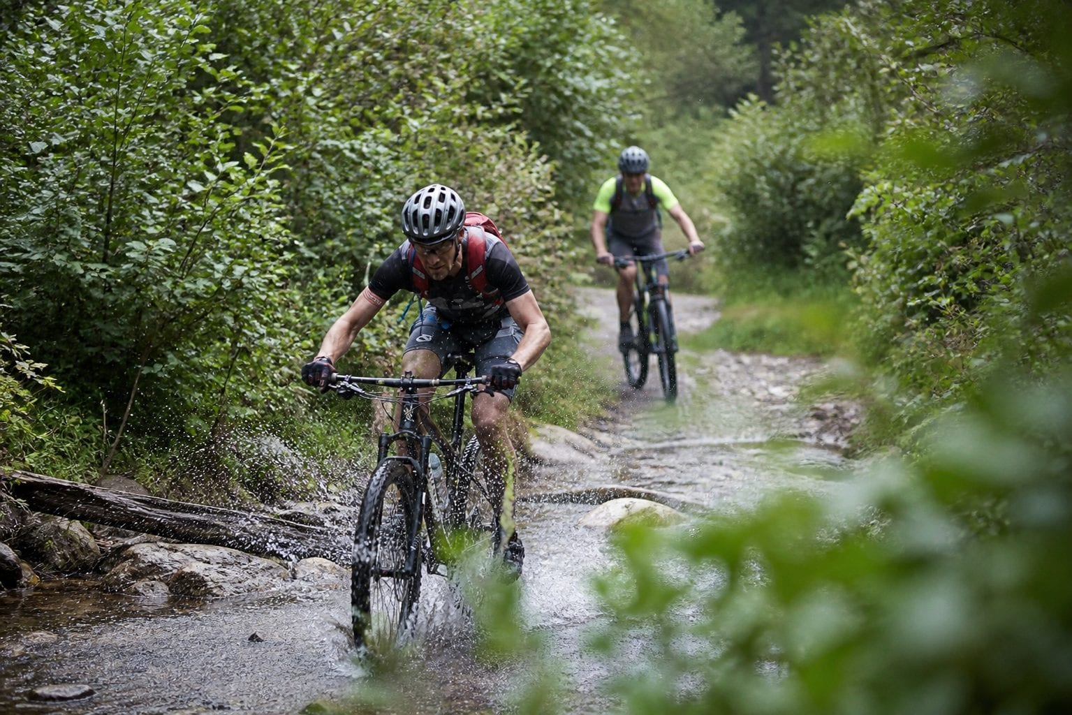 Mountain biking on forest trail