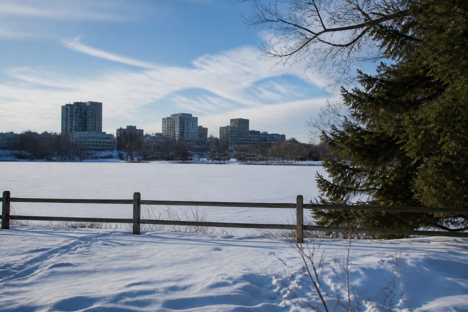 Winter scene at Dow's Lake