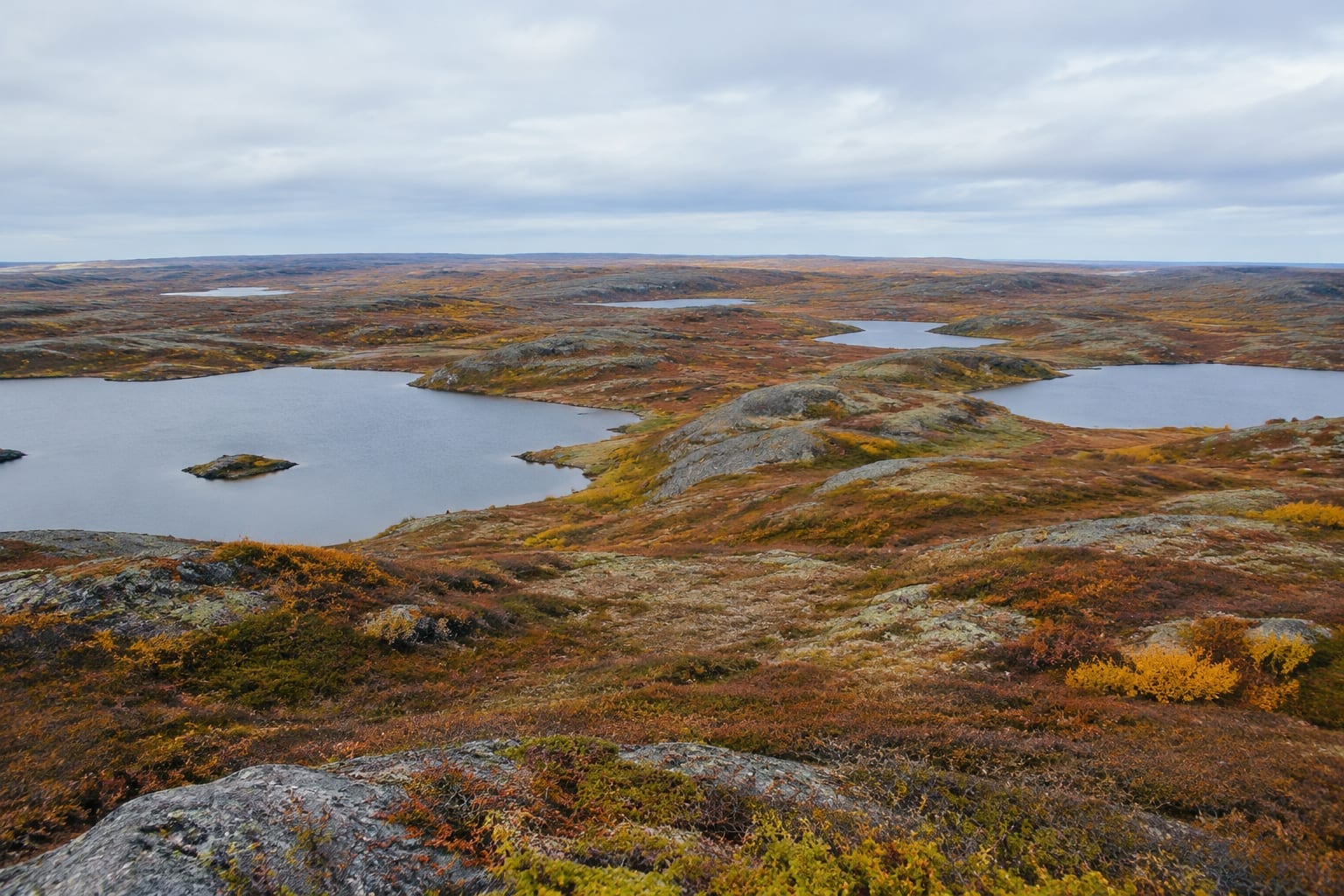 A wide aerial view of northern tundra with scattered lakes under a pale autumn sky