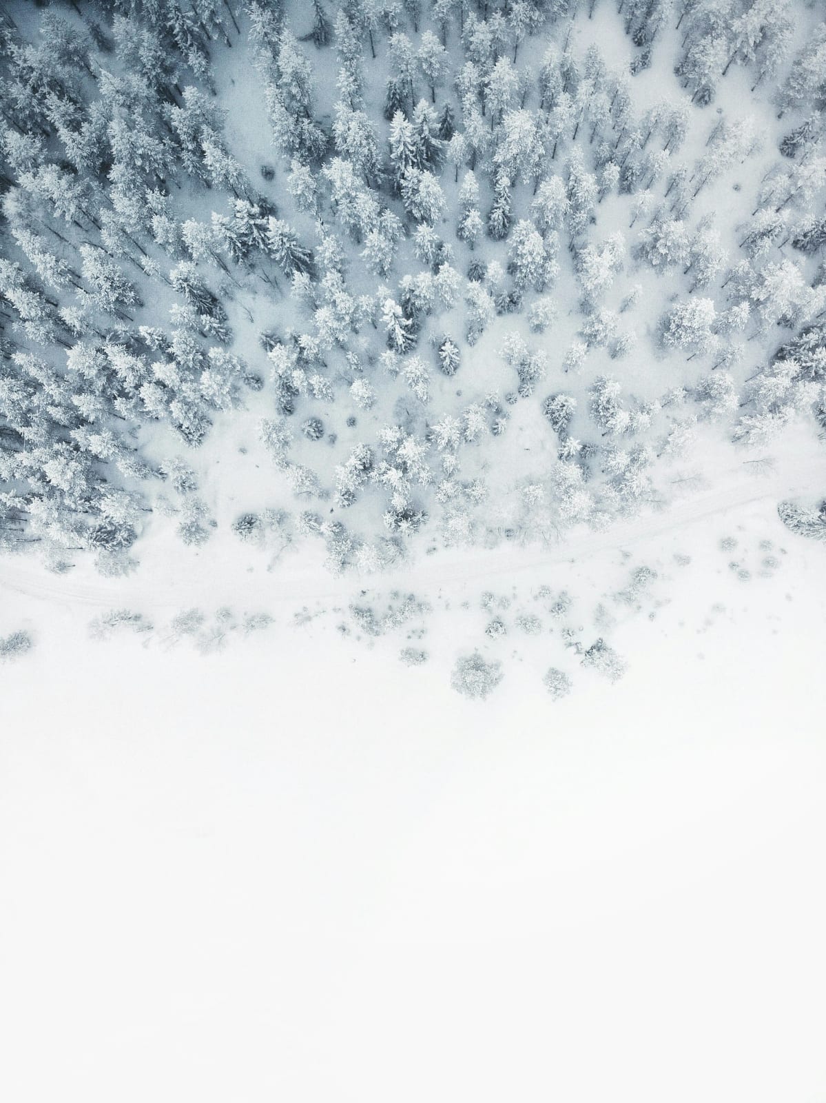 Ice sculpture and winter festival activities in Ottawa.