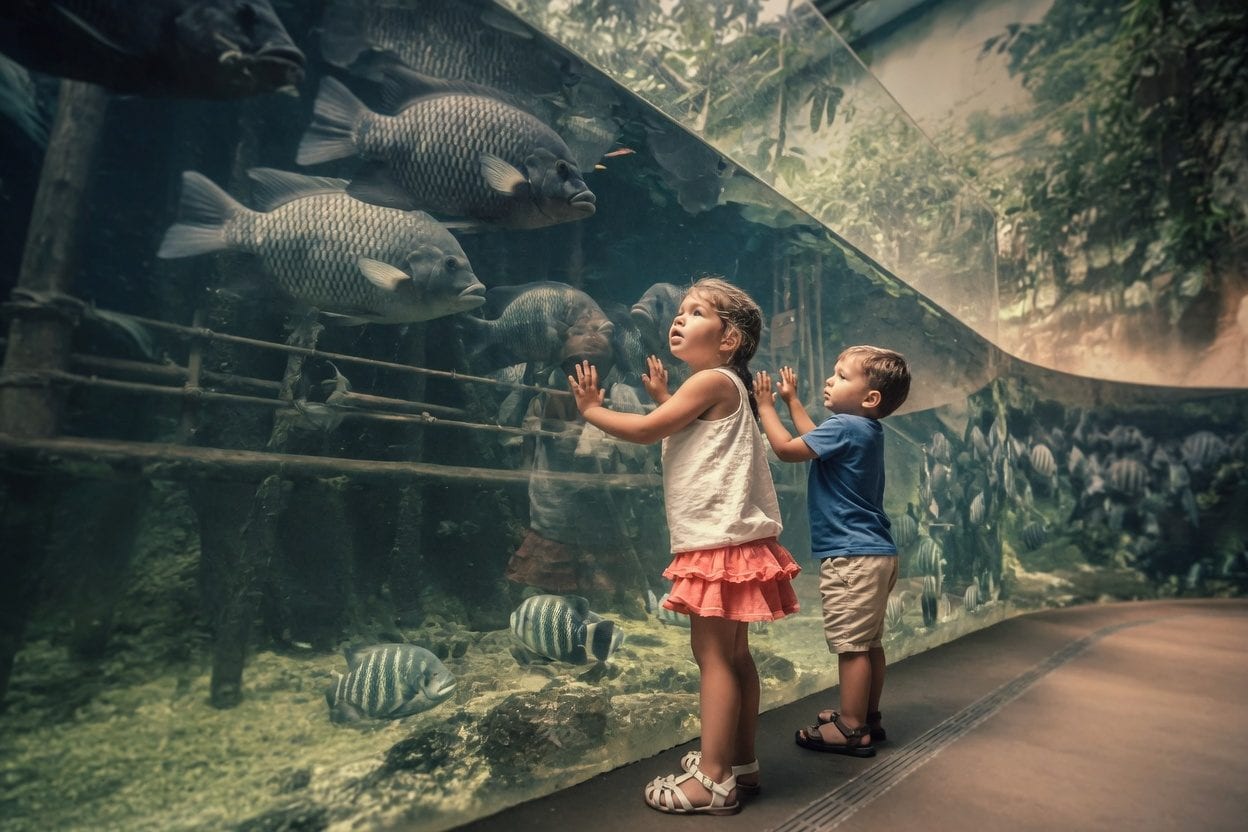 Families exploring museum exhibits together