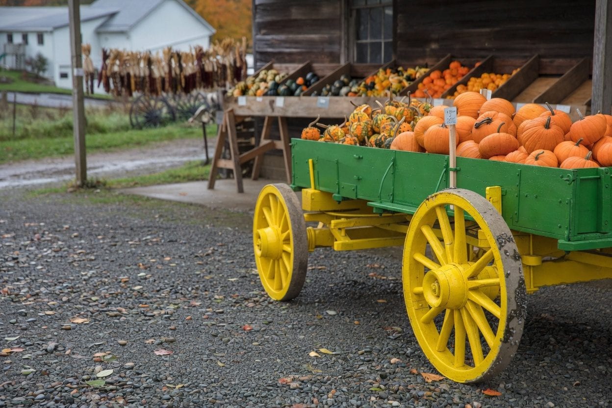 Cannamore Orchard spooky wagon ride