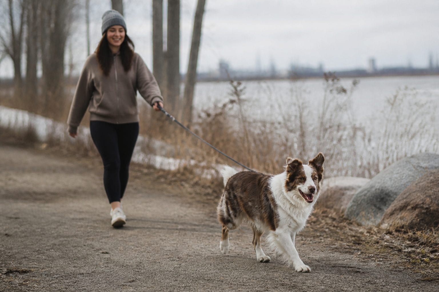 Dog-friendly hiking trail in Ottawa with pet owner walking dog