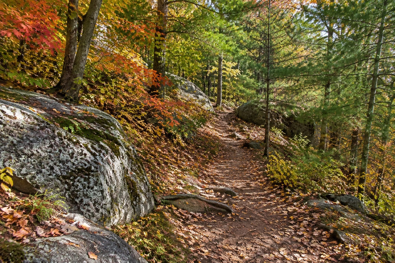 Forest trail through rocky terrain and mixed trees in autumn near Kanata, Ontario