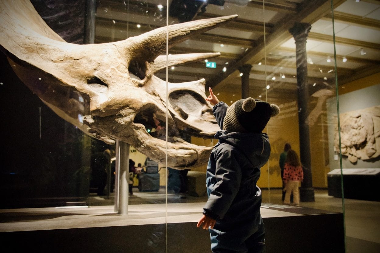 Kids exploring a science museum exhibit