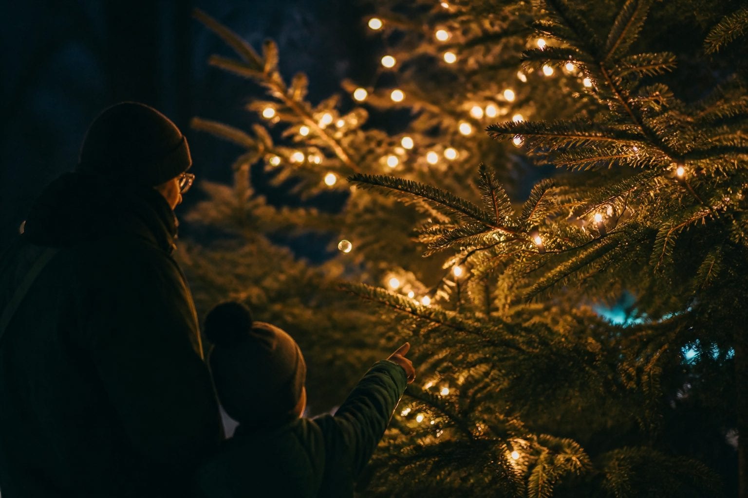 Magic of Lights Ottawa 2025: 10th Anniversary at Wesley Clover Parks