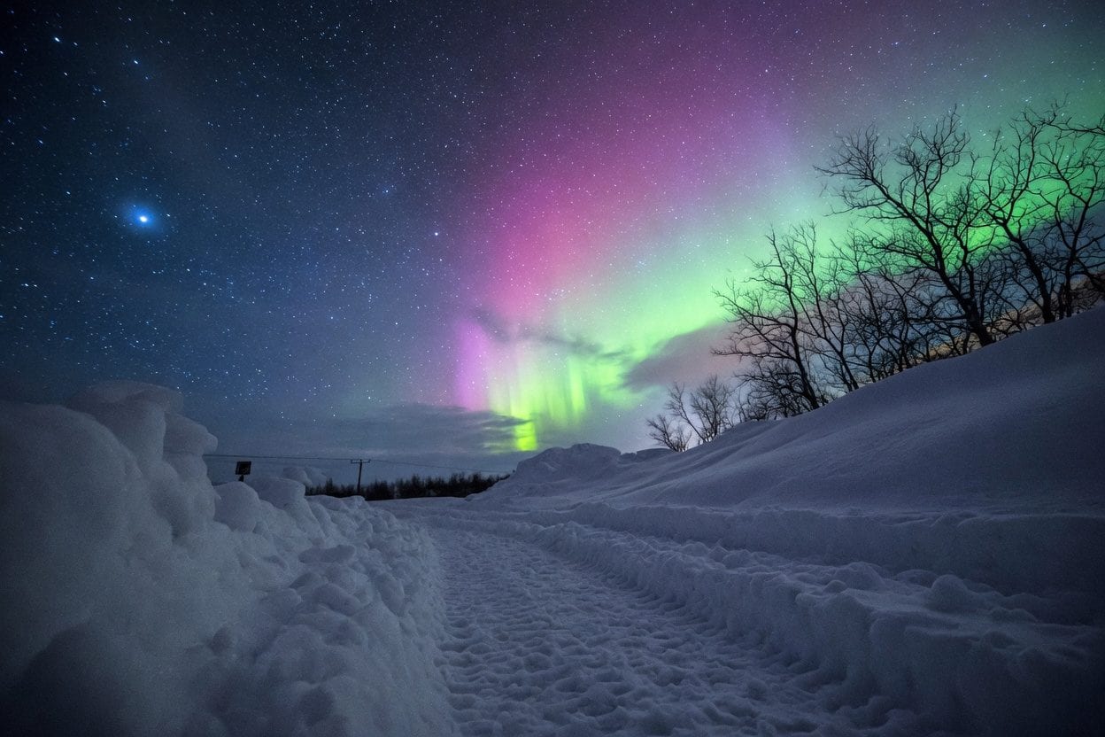 Aurora borealis over rural Ontario landscape
