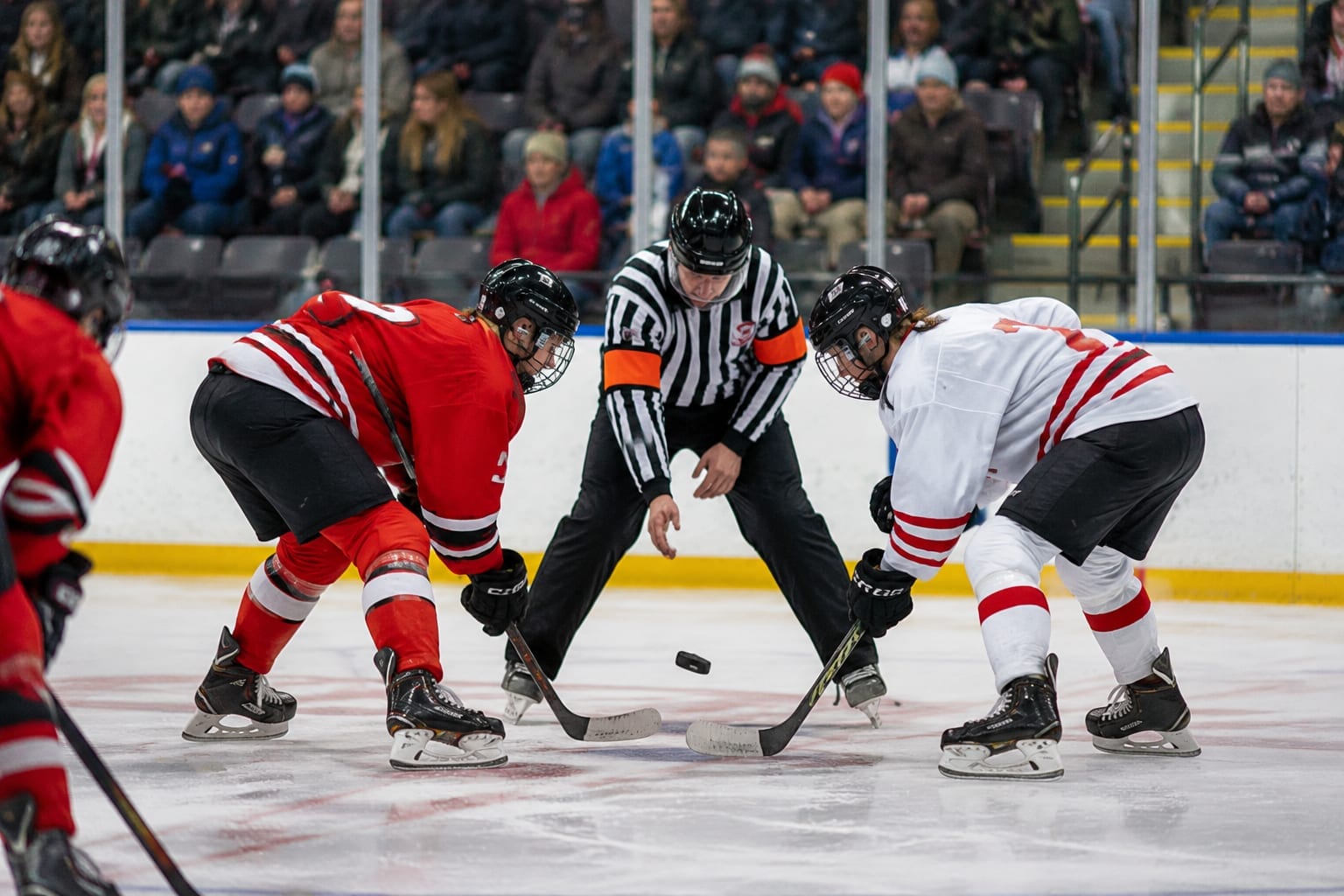 Junior hockey players in a faceoff in front of a full family crowd at an Ottawa arena