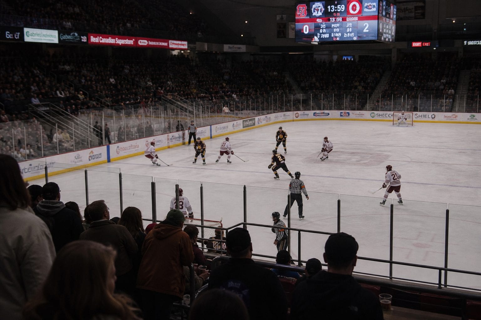 Fans at Ottawa 67s game TD Place
