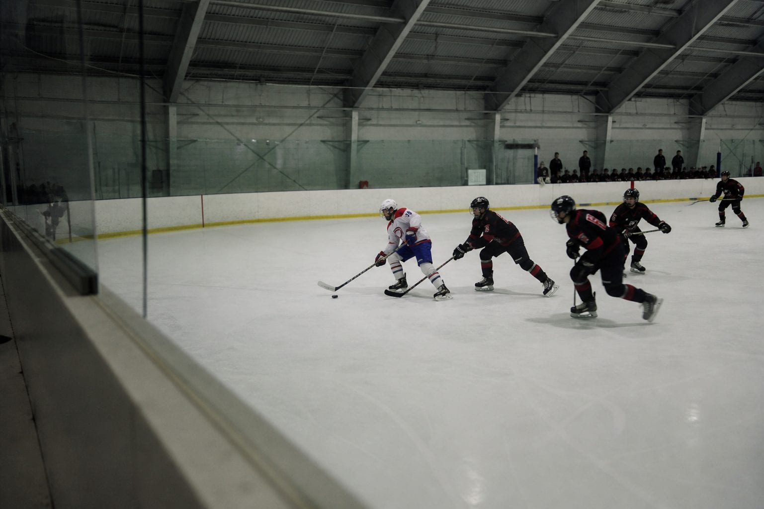 Ottawa Black Bears lacrosse game action