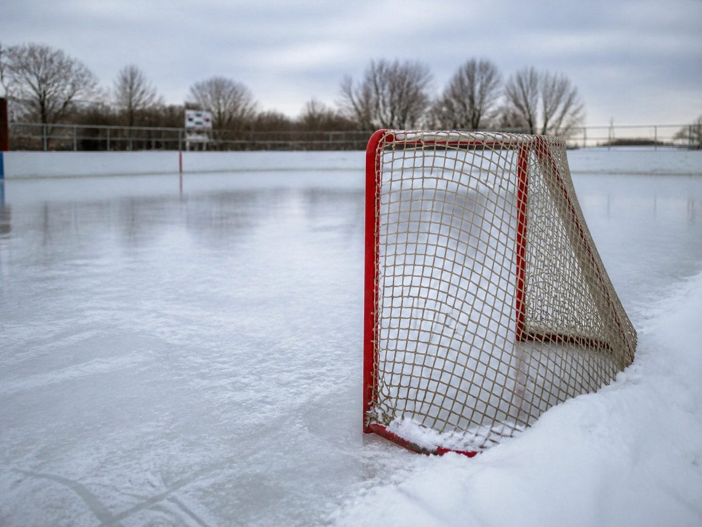 Ottawa Charge PWHL 2025-26 Season: Home Games, Schedule & Fan Guide | Women's Hockey
