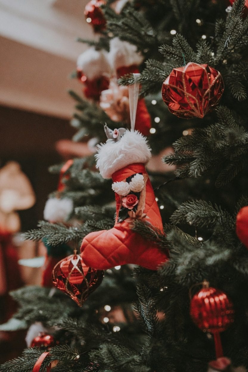 Ottawa Christmas Market at Lansdowne 2025: Your Complete Holiday Guide