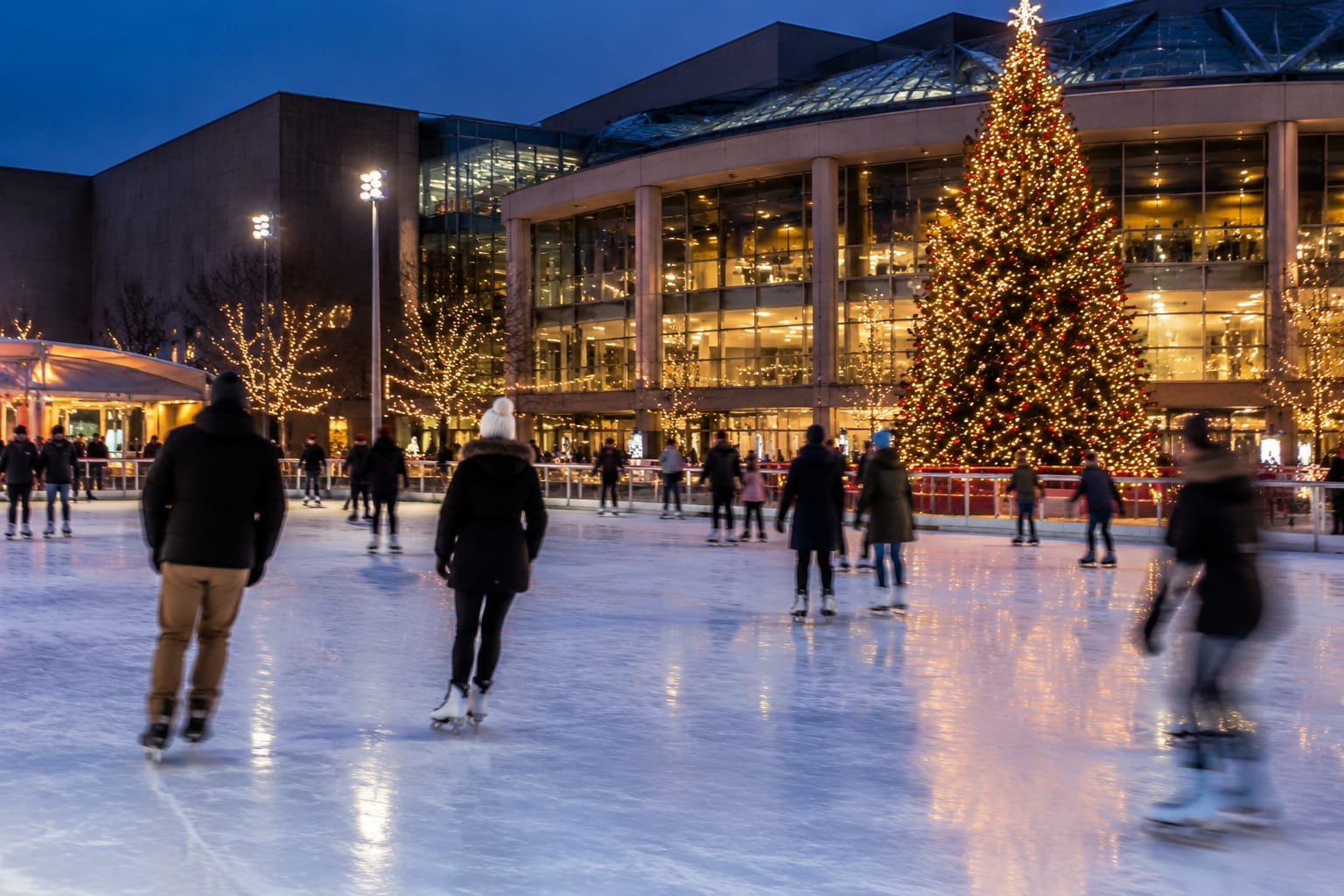 Skaters on an outdoor city rink at night beside a tall lit Christmas tree