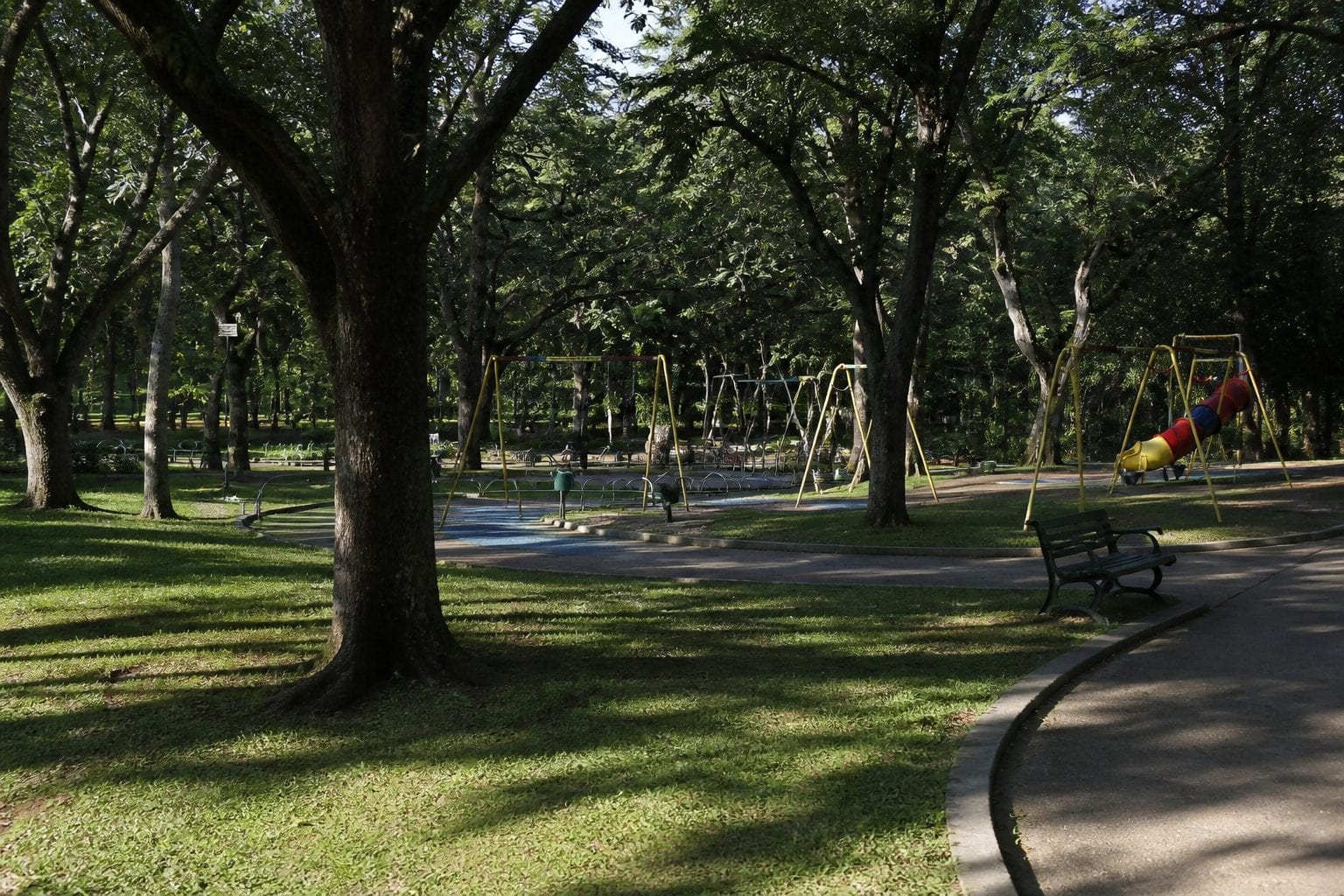 Kids playing in an Ottawa neighbourhood park