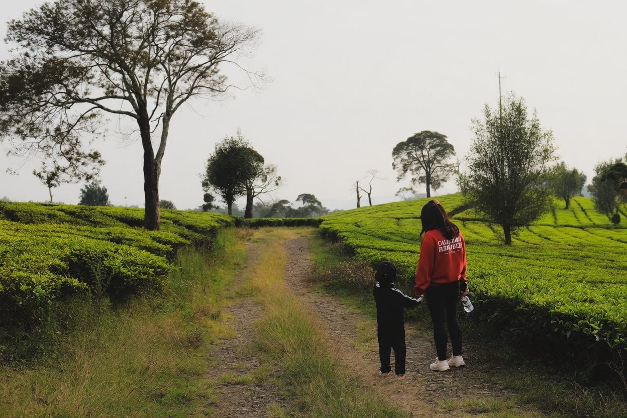 Family walking along a farm path