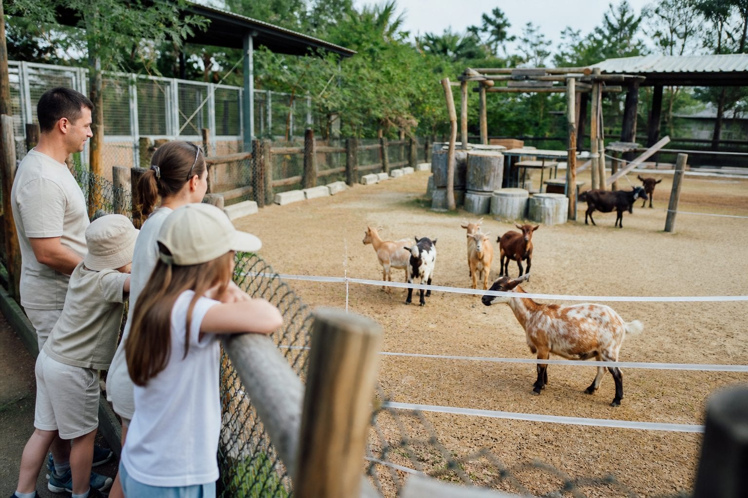 Kids visiting a farm animal enclosure