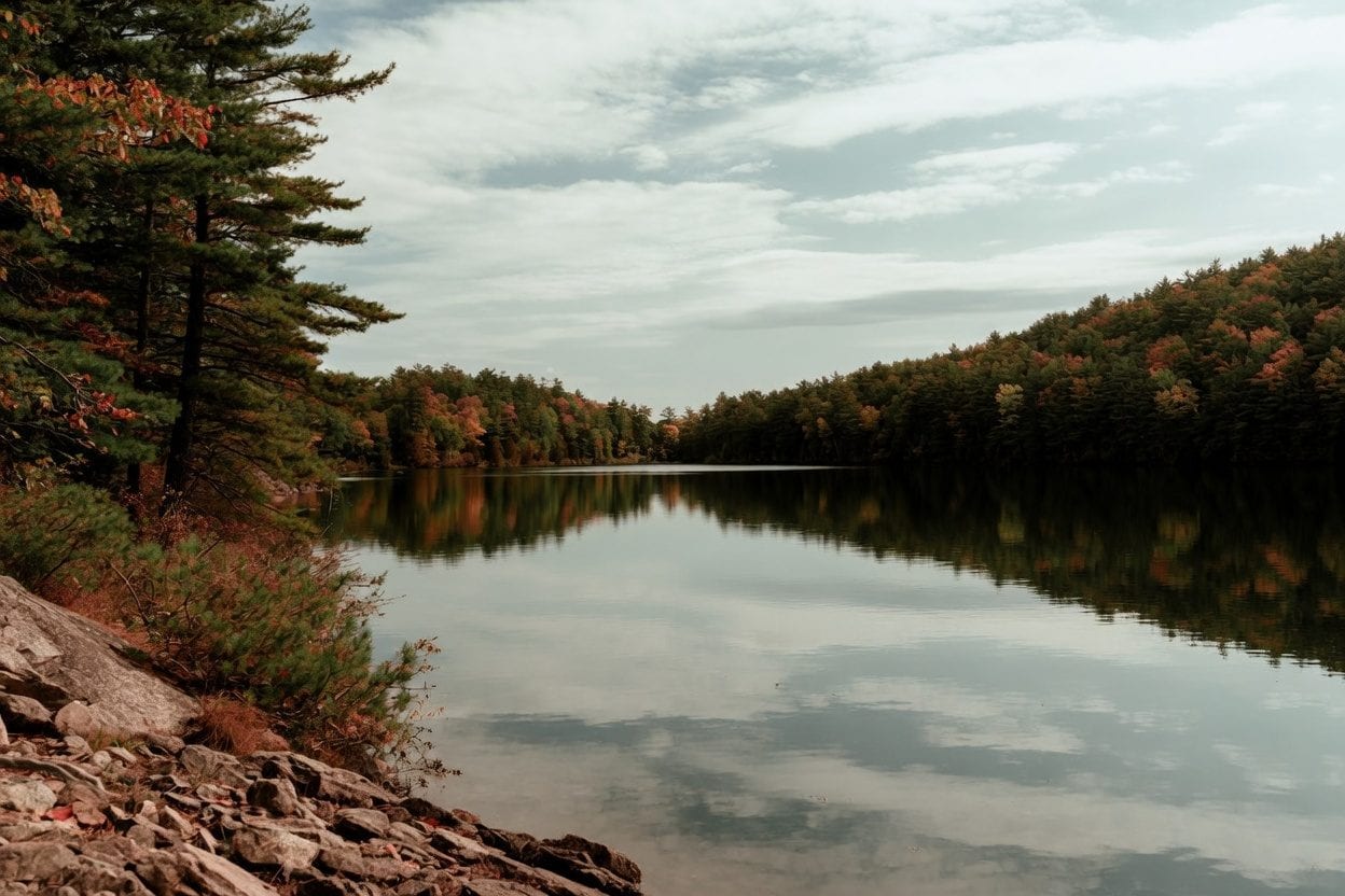 Gatineau Park Champlain Lookout
