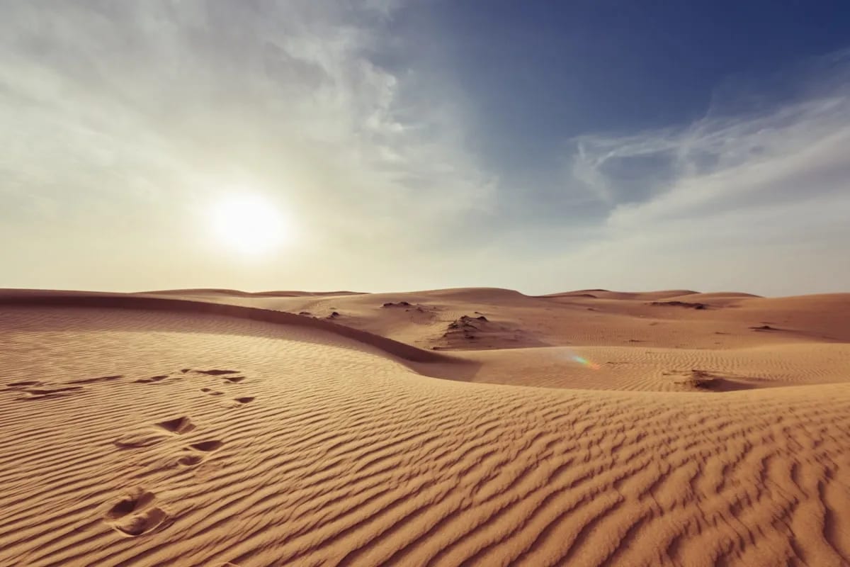 Pinhey Sand Dunes landscape